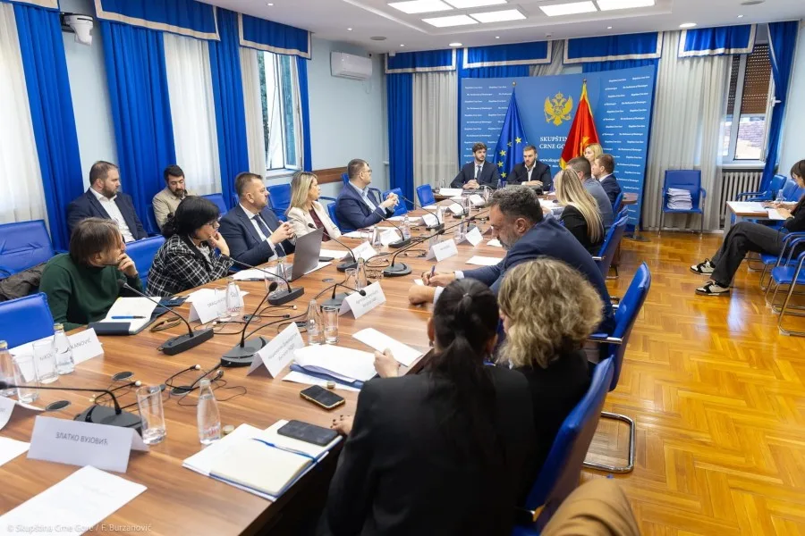 Birački spisak i Šavnik pred Odborom za izbornu reformu