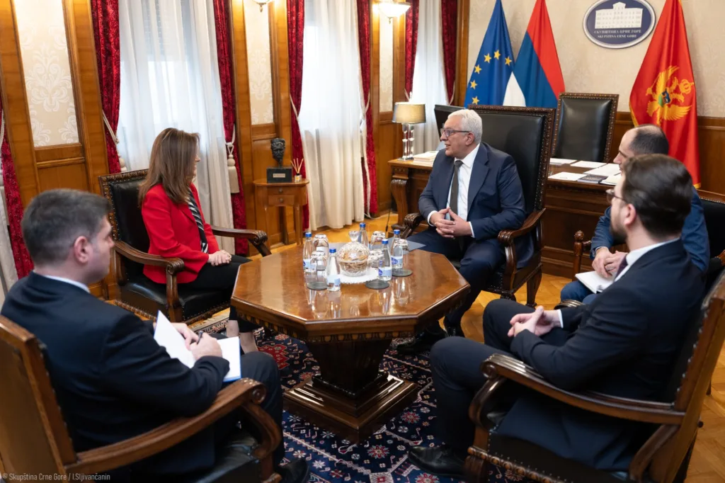 Mandić – Unlu: Jačanje bilateralnih odnosa Crne Gore i Turske