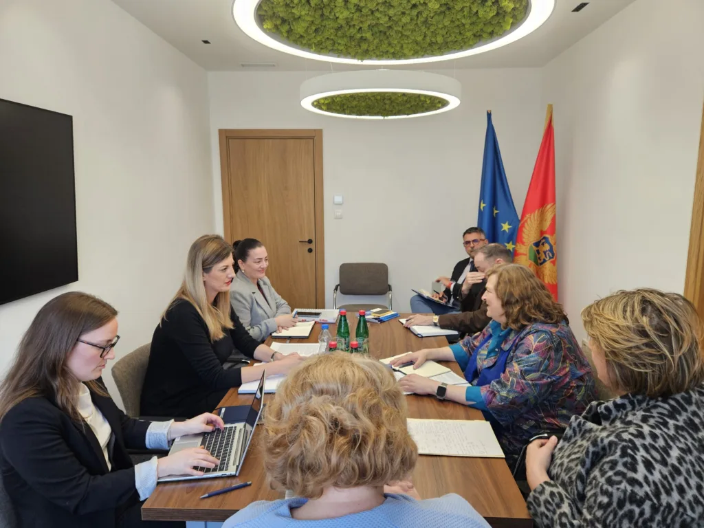 Aljićević: Efikasnija zaštita žrtava trgovine ljudima