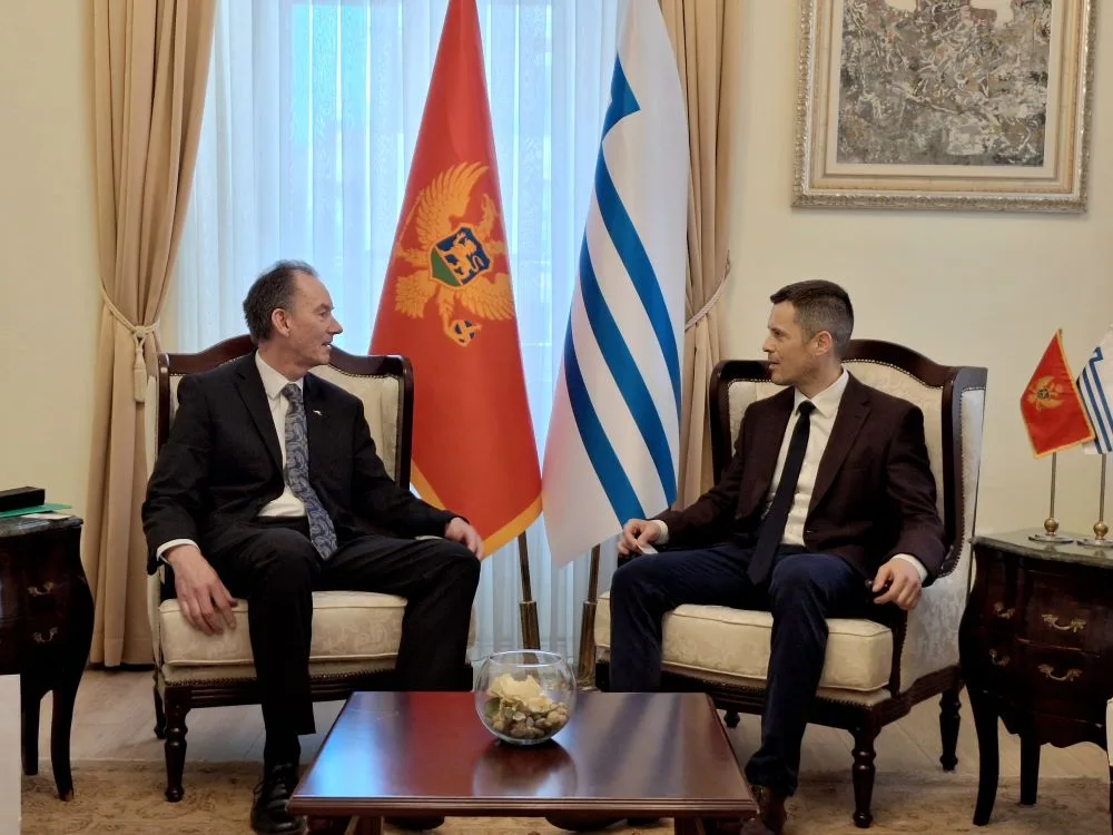 Mujović – Anderson: Brojne mogućnosti za jačanje kulturnih i privrednih veza