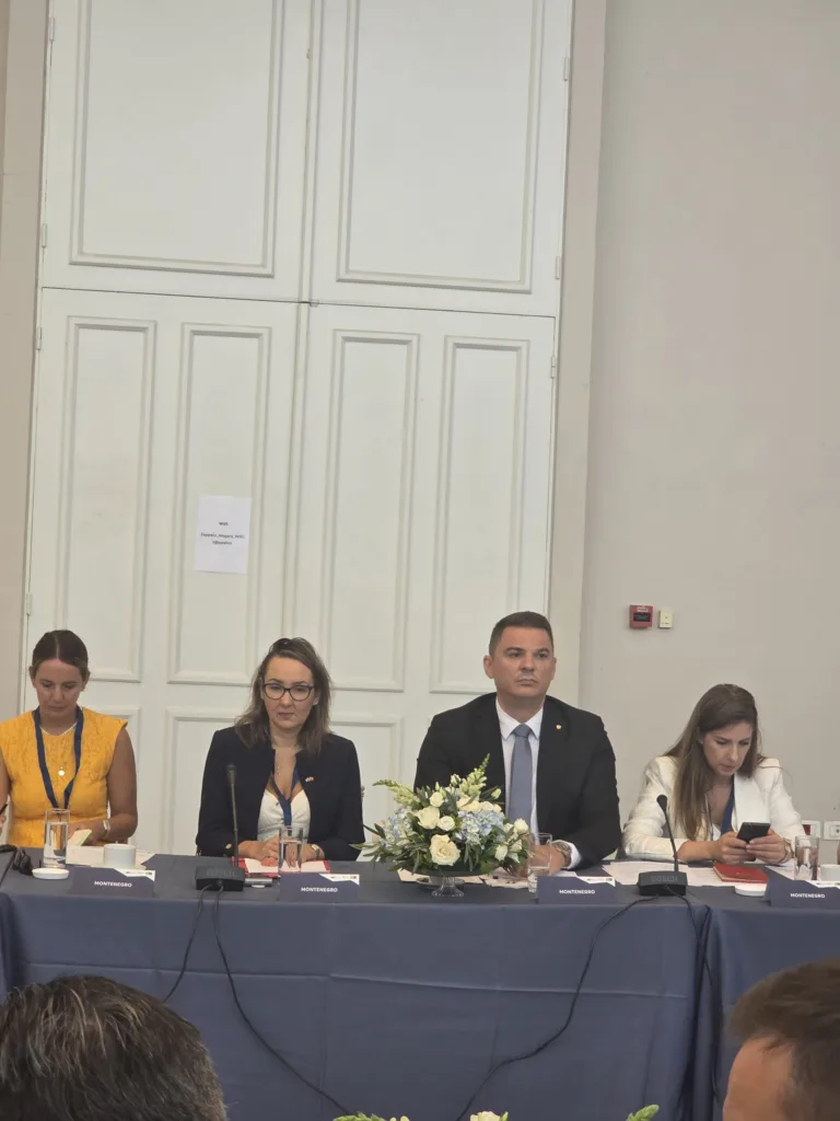 Šahmanović: Crna Gora vidi Energetsku zajednicu kao jednog od ključnih partnera na putu ka integraciji u jedinstveno evropsko energetsko tržište