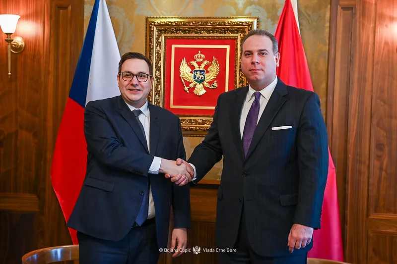 Ivanović: Češka snažno podržava evropsku integraciju Crne Gore