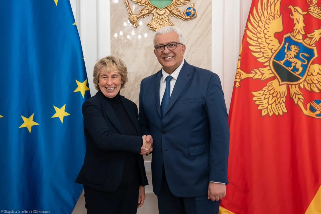 Mandić: Naporno radimo da usaglasimo zakonodavstvo sa evropskim, za godinu i po usvojili smo preko 150 zakona