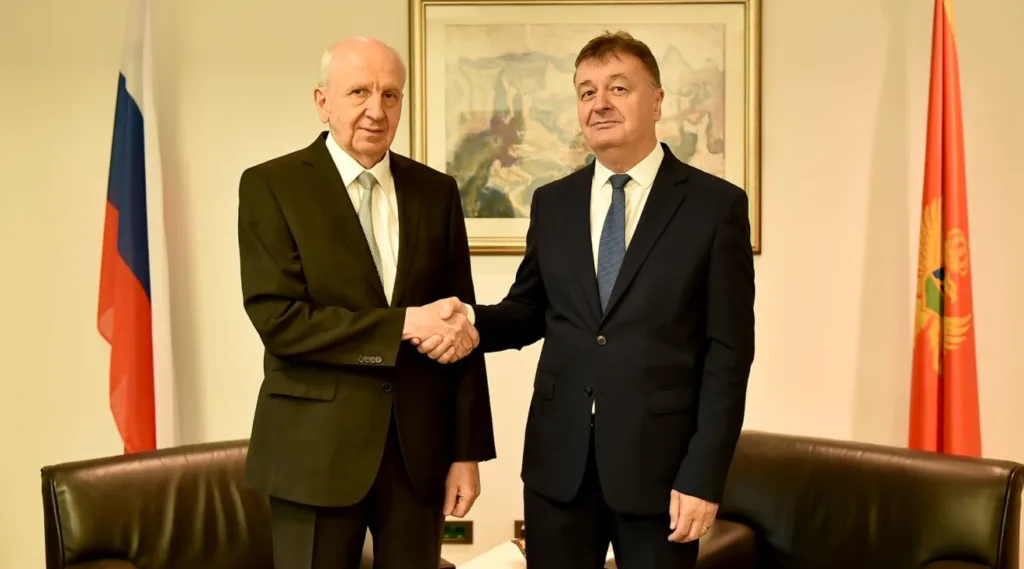 Aleksić – Lukašik: Znatan prostor za unapređenje bilateralnih odnosa