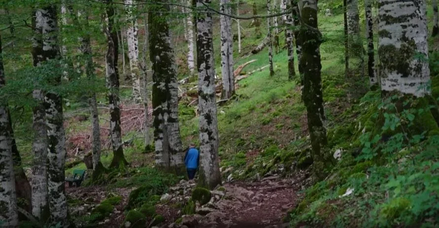 Krivične prijave protiv tri osobe zbog nedozvoljene gradnje u zoni Nacionalnog parka Biogradska gora