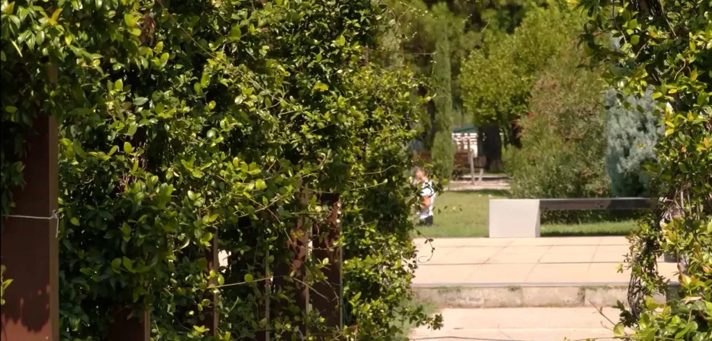 Glavni grad: Posvećeni smo razvoju zelene infrastrukture – do kraja godine realizovaćemo niz projekata