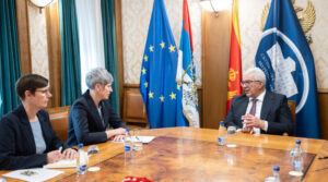 Mandić i Paniklova: Skupština ključna za reforme, evropske integracije i zelenu tranziciju