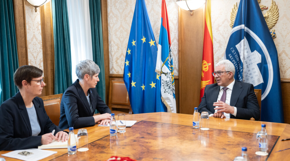 Mandić i Paniklova: Skupština ključna za reforme, evropske integracije i zelenu tranziciju