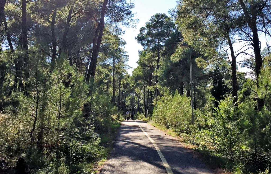 Akcija čišćenja Gorice: Očuvanje šume i zaštita od požara