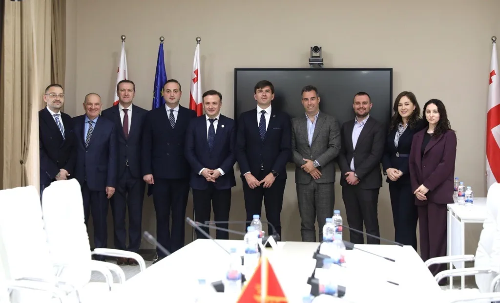 Azemović i Zarku: Gruzija i Crna Gora imaju mnogo toga zajedničkog