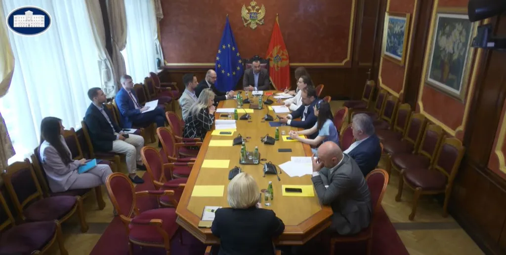 Odbor dao pozitivno mišljenje na predlog da Injac bude ambasadorka u Briselu