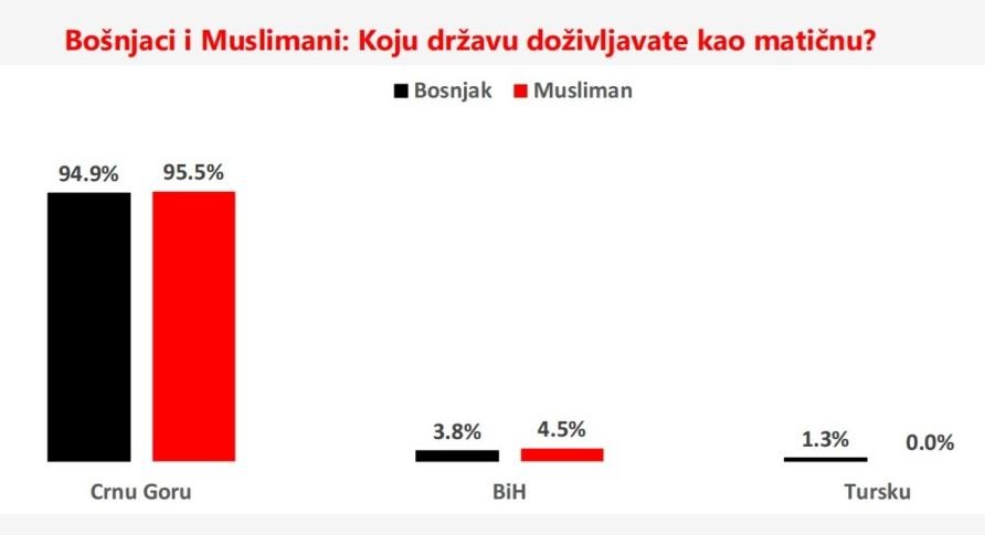 Većina Bošnjaka, Muslimana, Albanaca i Srba Crnu Goru vidi kao matičnu državu, Hrvati dominantno Hrvatsku