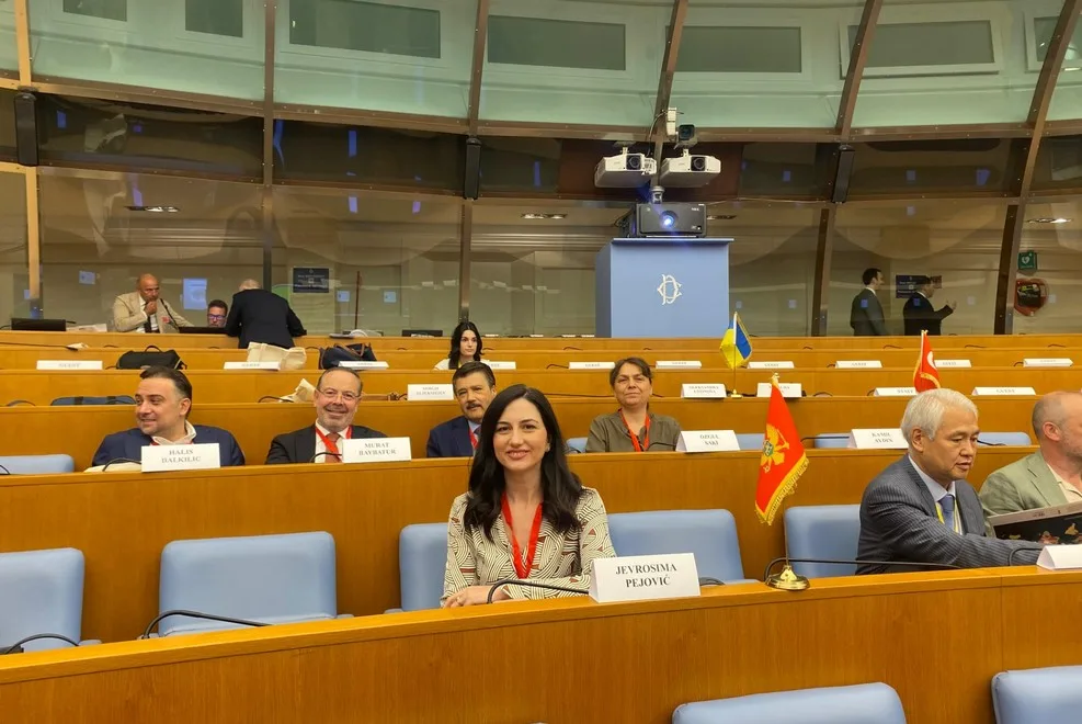 Pejović na Međuparlamentarnoj konferenciji o borbi protiv organizovanog kriminala: Potrebna snažnija međunarodna saradnja