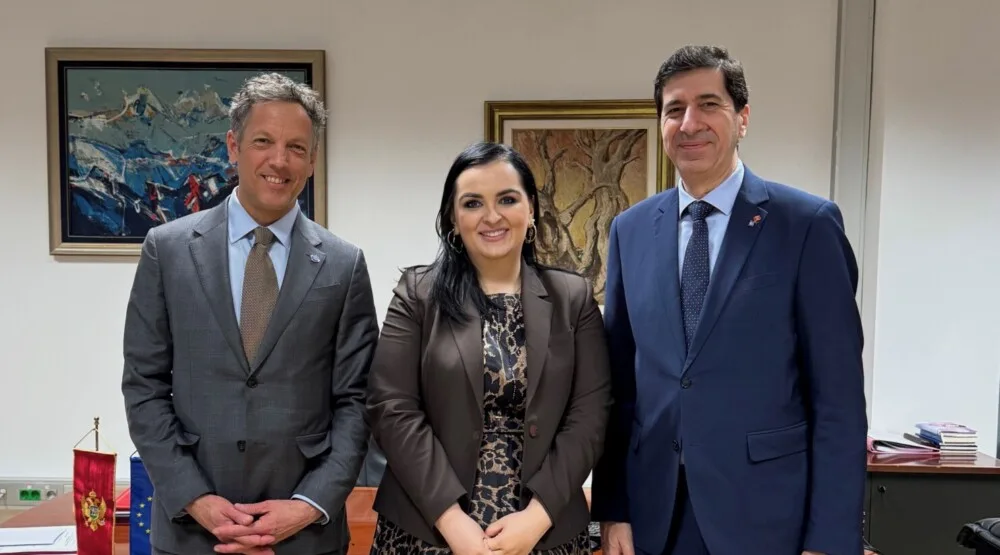 Nišić: Radne migracije su izazov, ali i razvojna prilika za Crnu Goru i Zapadni Balkan