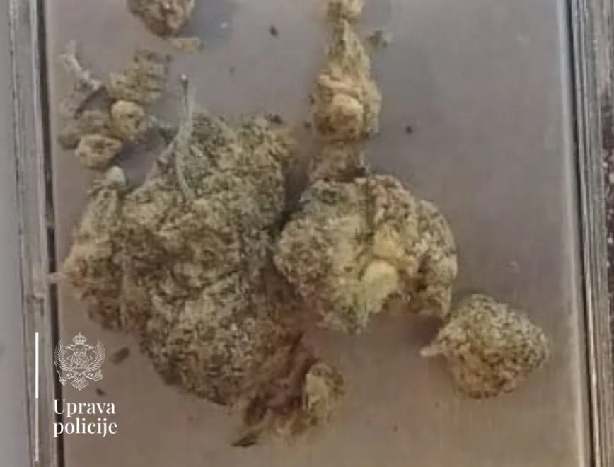 Na Sukobinu oduzeta marihuana, uhapšen njemački državljanin