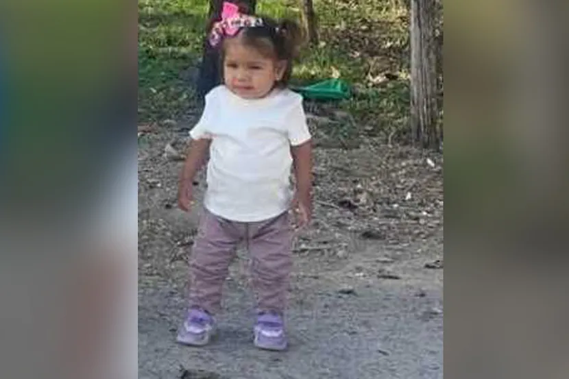 Devojčica nestala u Ubu: Aktiviran sistem “Pronađi me”