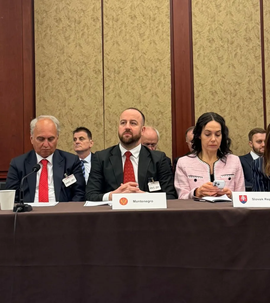 Nikolić: Crnoj Gori treba jača podrška saveznika da se odupre destabilizaciji njenog evropskog puta