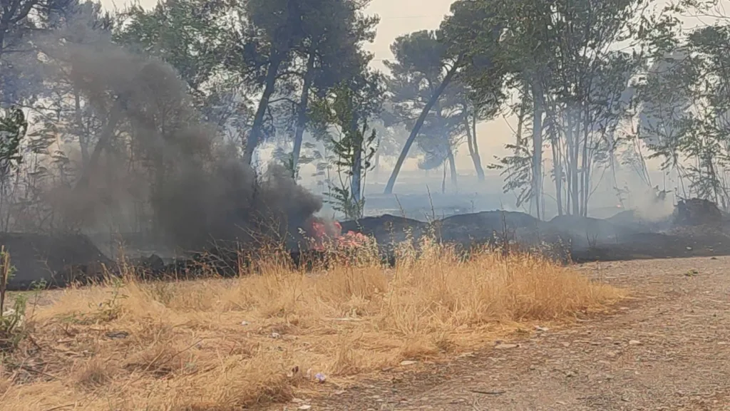 (VIDEO) Pogledajte posljedice vatrene stihije na Ćemovskom polju