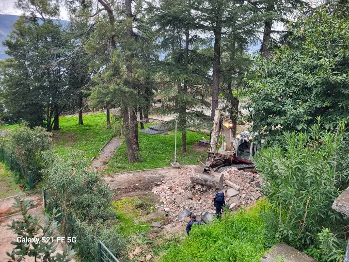 Posječeni 100-godišnji kedrovi iz parka Boka