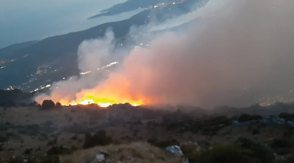 Požar na Lovćenu pod kontrolom, ali i dalje aktivan, vatrogasci gasili cijelu noć