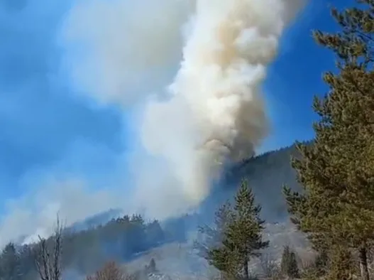 Na Crnom vrhu i dalje gori, nema opasnosti za objekte i NP Durmitor