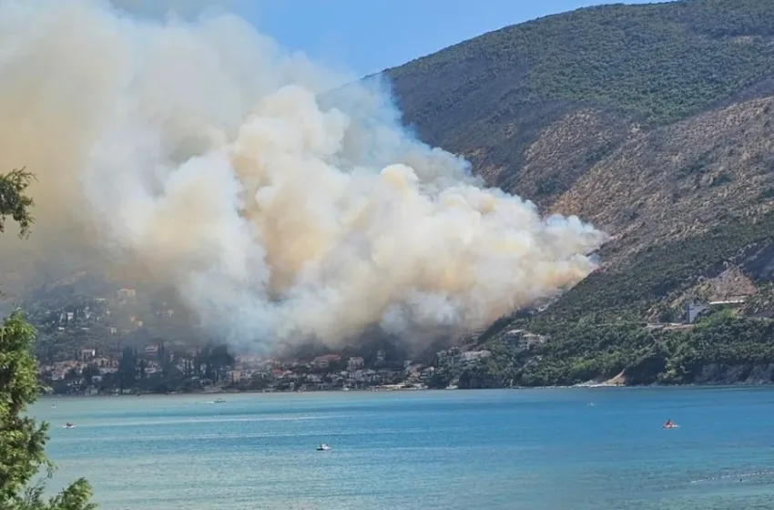 Ćirović: Požar na Njivicama bio izazovan, definitivno izazvan ljudskim faktorom