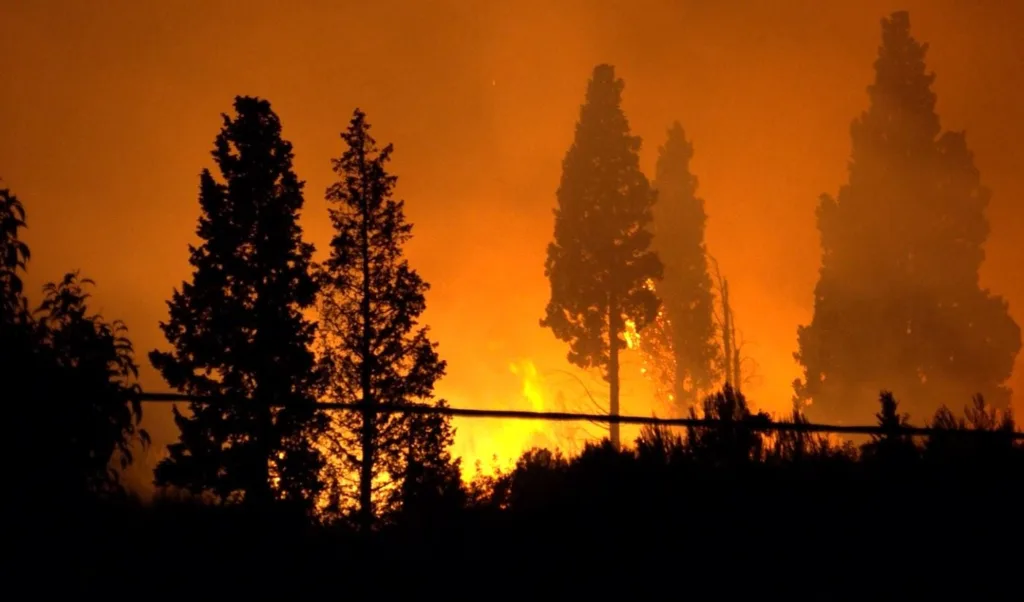 Toplotni talas izazvao požare širom Evrope, rekordne temperature u Španiji i Portugaliji