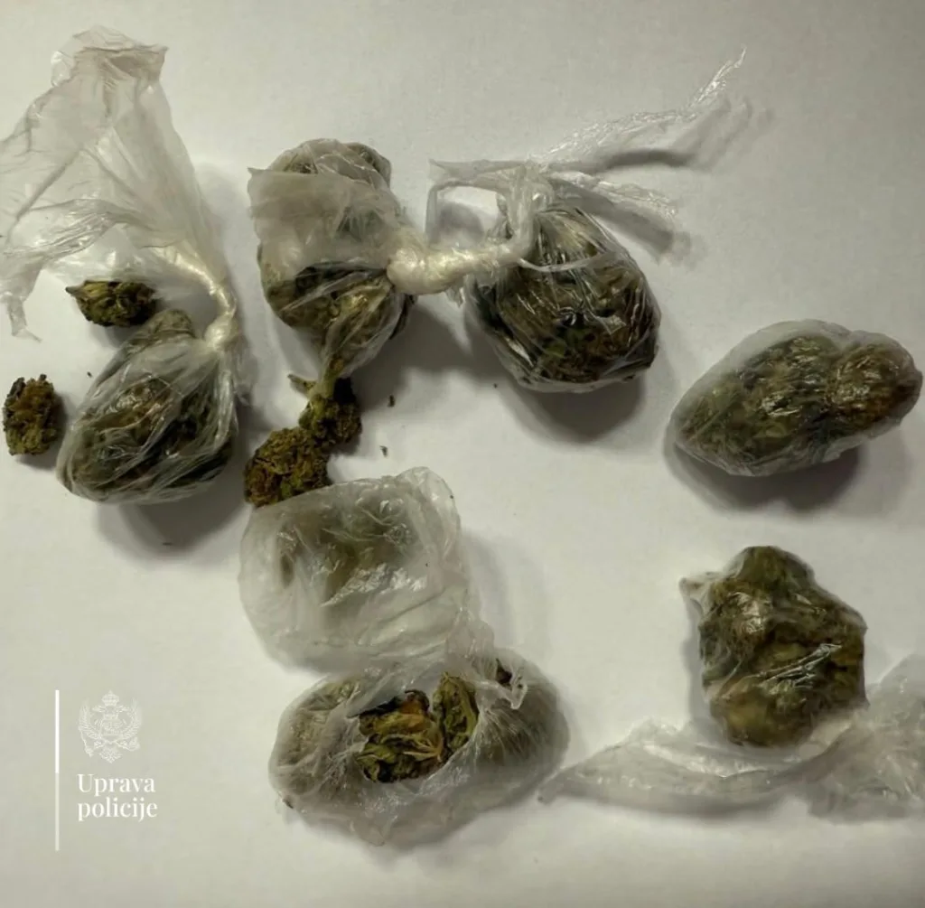 Tivat: Na žurci kod devetnaestogodišnjeg Podgoričanina pronađena marihuana namijenjena prodaji