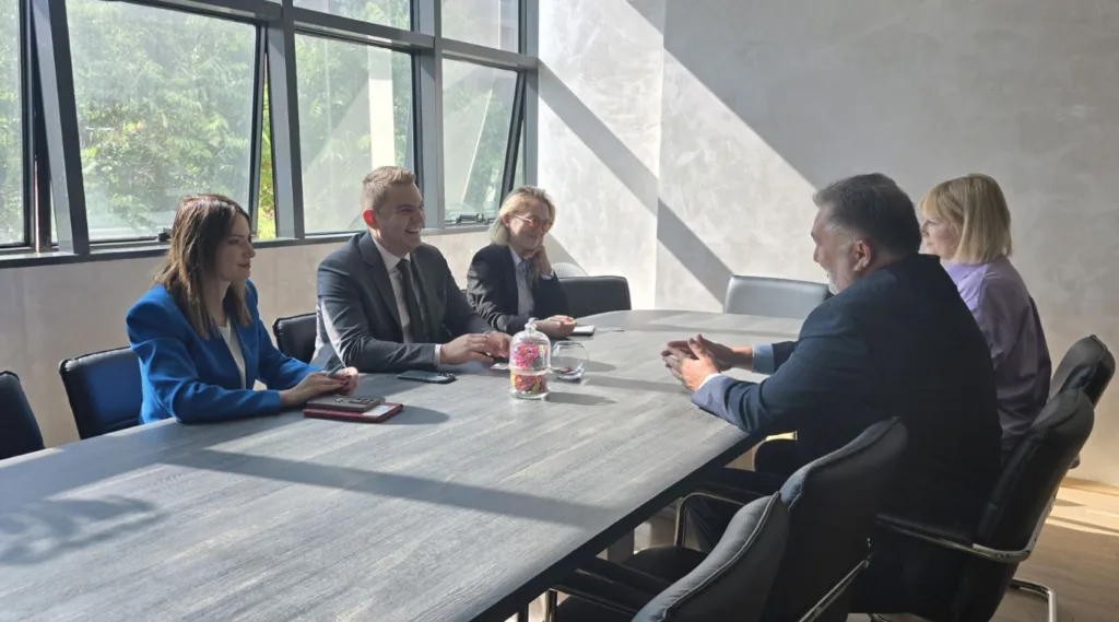 Šahmanović: Energetska tranzicija mora biti brža i odlučnija