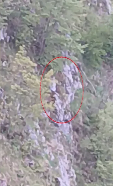 Šavnik: Ispao iz vozila i 12 sati visio iznad života i smrti