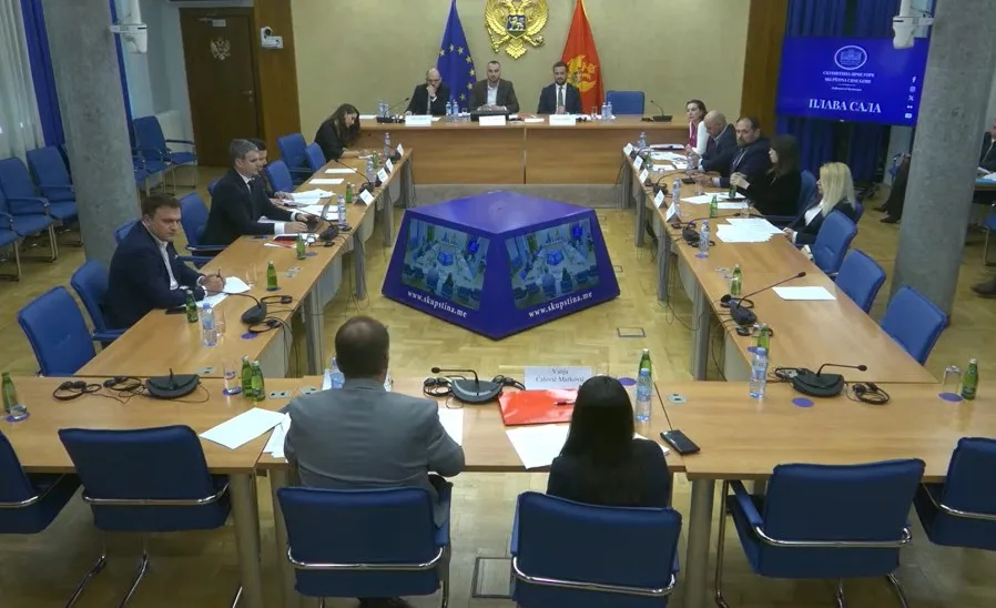 Odbor za međunarodne odnose podržao sporazume sa UAE