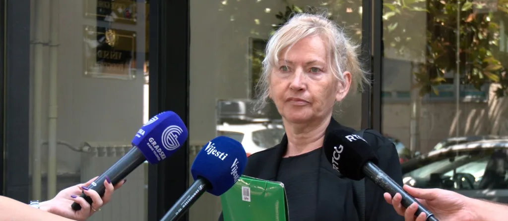 Šćekić: Optuženi Boreta pokušava da obmane vijeće Apelacionog suda