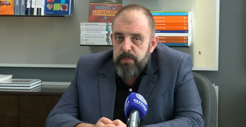 Đaković: U Crnoj Gori još bez slinavke i šapa, mjere opreza na visokom nivou