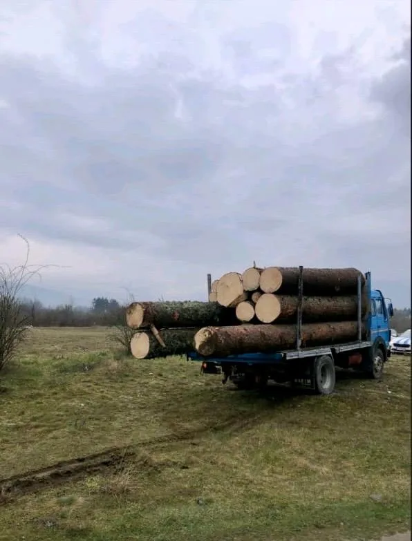 Procesuirano lice zbog šumske krađe u Beranama, drugo u bjekstvu