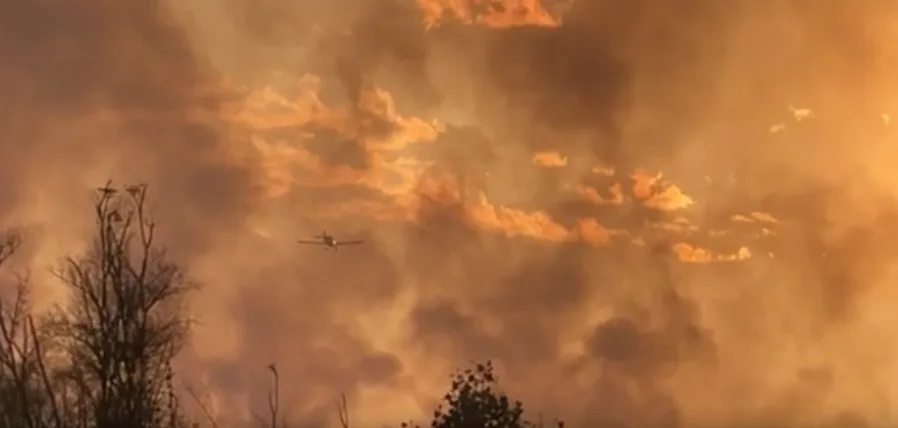 Ugašen požar na lokalitetu Grbavci – Bolje sestre