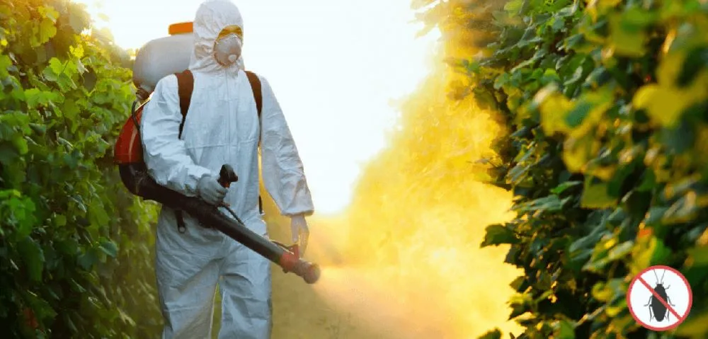 Počinje sistemska dezinsekcija komaraca na teritoriji Podgorice