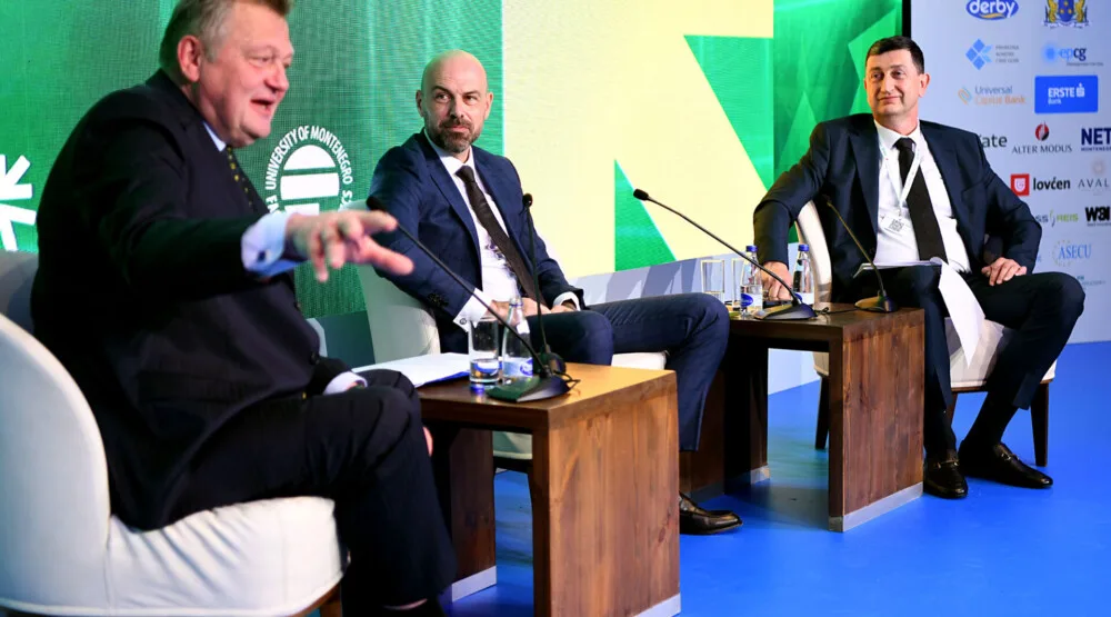 Bulatović: Crna Gora ulazi u najintenzivniji investicioni ciklus u svojoj energetskoj istoriji