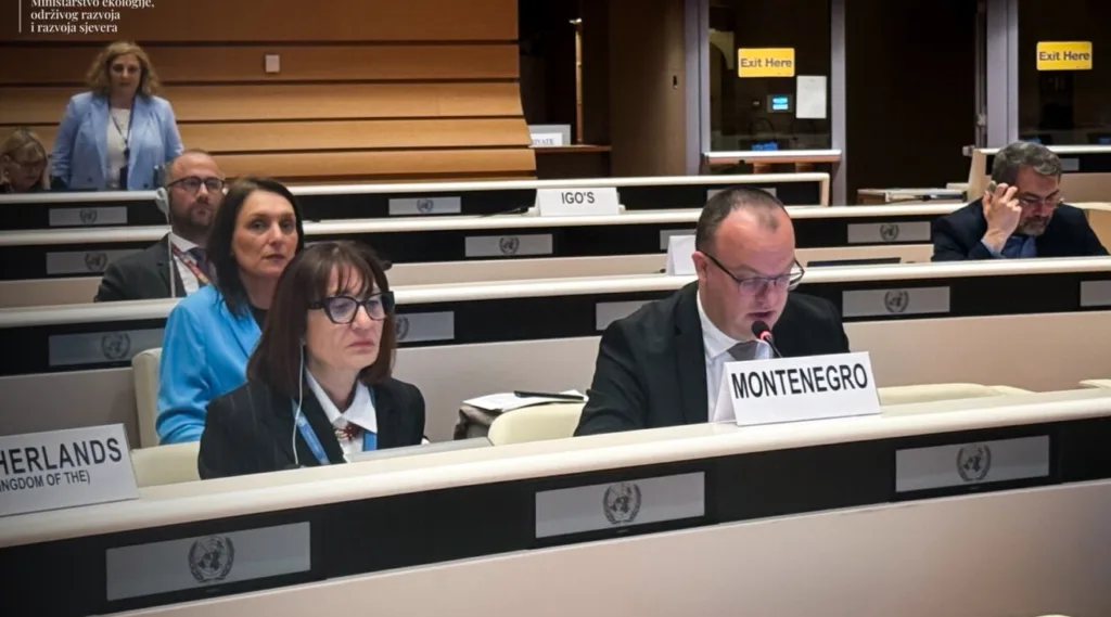 Ćulafić: Crna Gora dokazuje da je moguće ostvariti održivu budućnost kroz inovacije