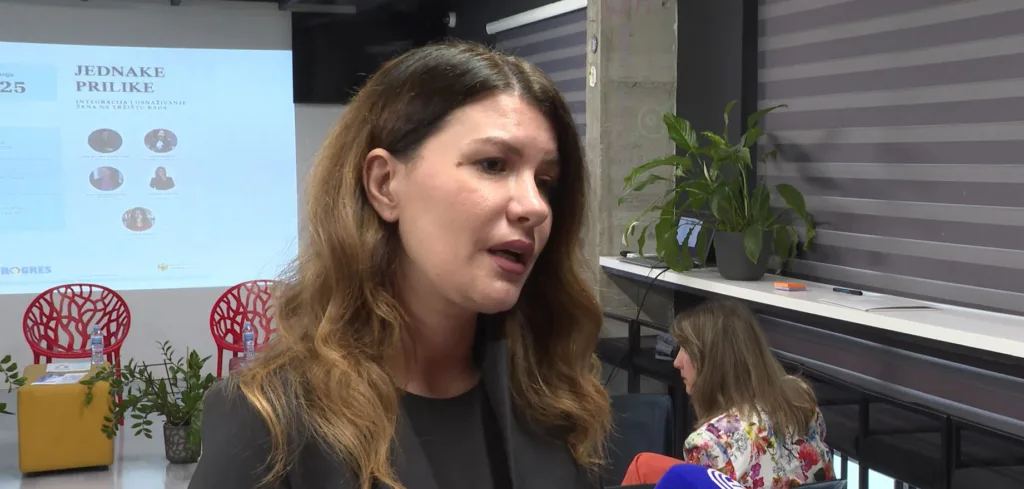 Jokić: Najviše se ulagalo u Glavni grad, manje opštine i sjever Crne Gore ostali zapostavljeni u borbi protiv homofobije