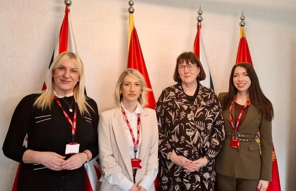 “Kontinuirani dijalog, institucionalna saradnja i razmjena znanja od ključnog značaja u zaštiti maloljetnika u digitalnom okruženju”