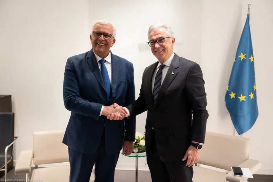 Mandić – Rusopulos: Zahvalni Crnoj Gori na njenom doprinosu Savjetu Evrope