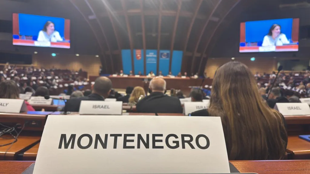 Crnogorska delegacija učestovala na 69. Plenarnoj sjednici Manivala