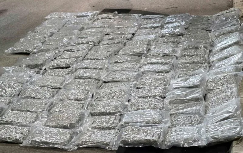 MUP Srbije: Zaplijenjeno oko 60 kilograma marihuane u vozilu državljanina Crne Gore