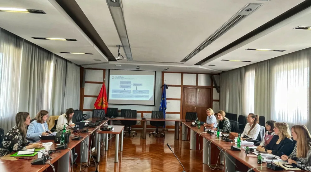 Nišavić: Crna Gora posvećena borbi protiv poreskih prevara i utaje poreza