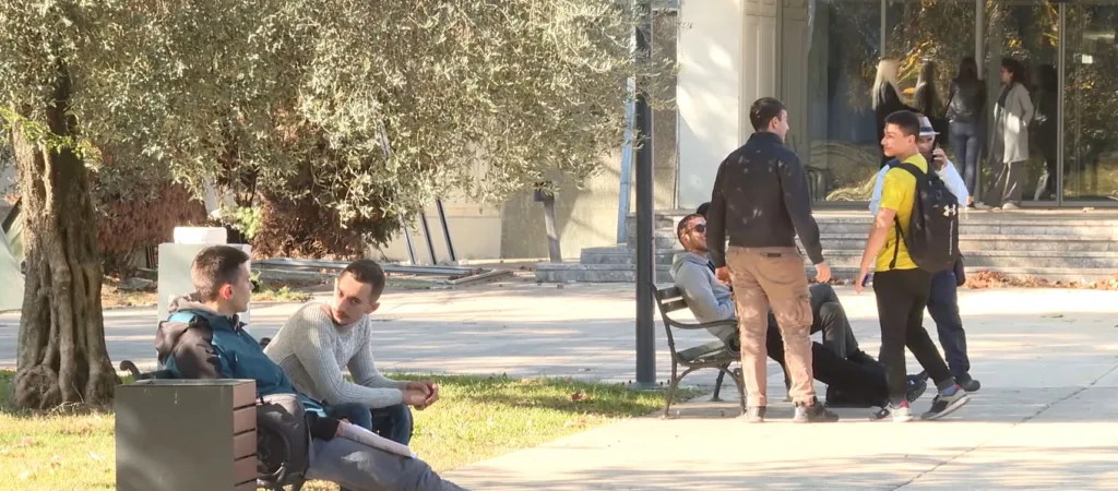 Vukićević: Akcioni plan za mlade kreiran po uzoru na evropske, predviđeno više novca nego ranije