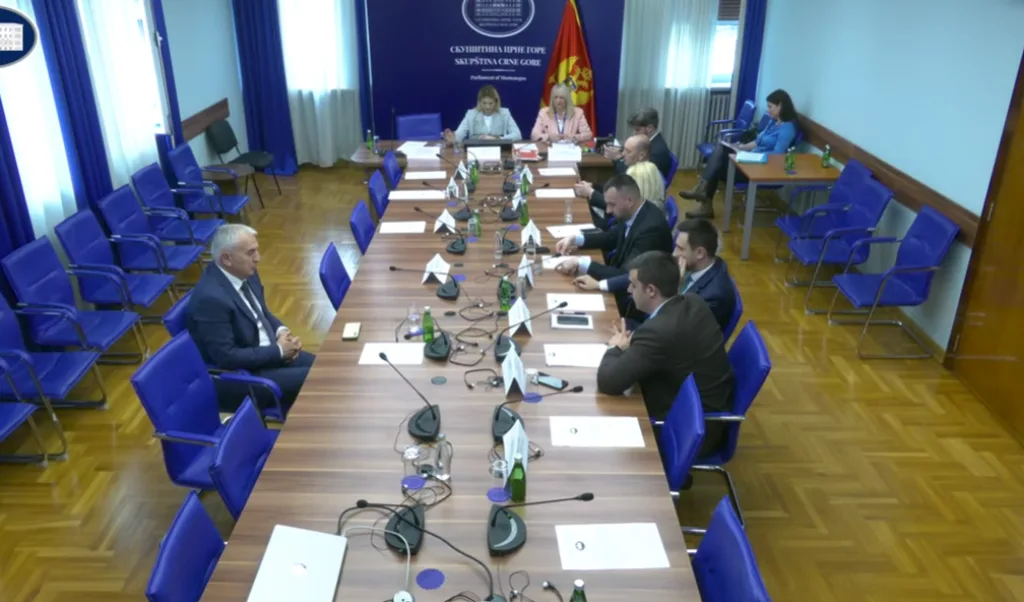 Administrativni odbor imenovao Biljanu Vučurović za Mandićevu savjetnicu