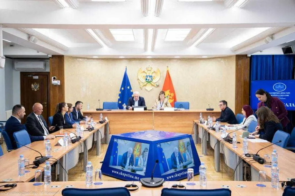 Odbor za ljudska prava podržao izmjene zakona: Donori mogu biti stričevi i ujaci i njihova djeca