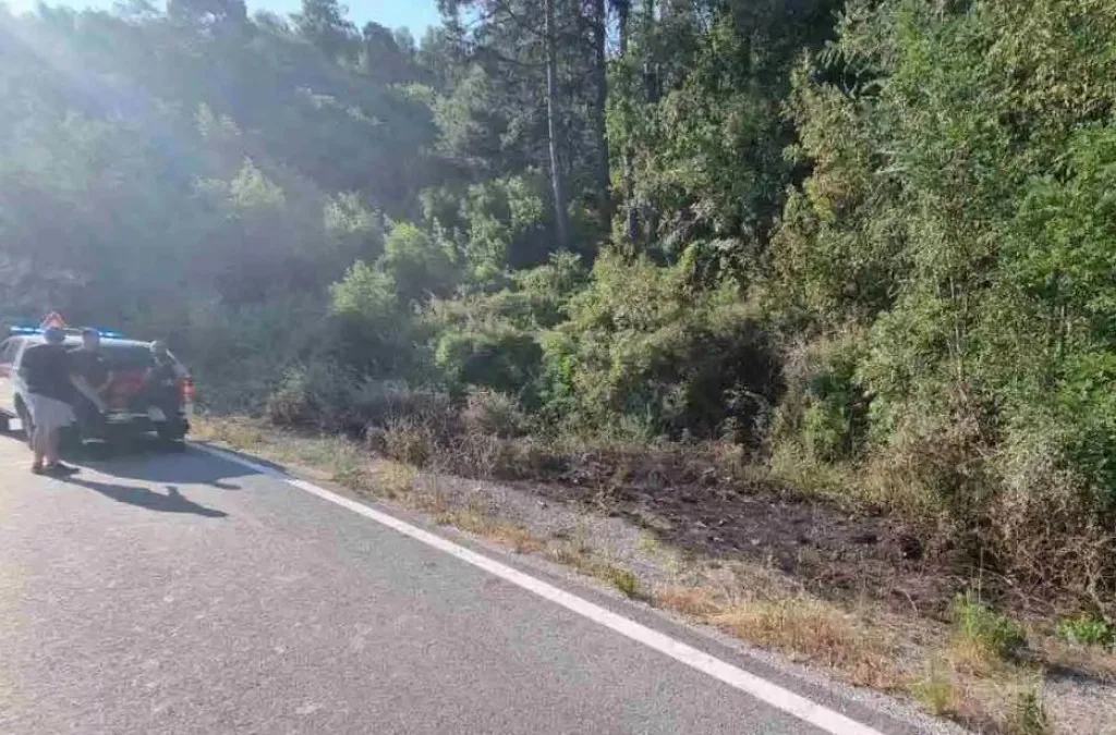 Cetinje: Vatrogascima pune ruke posla, novi požari kod tunela Mekavac i u Dobrskom Selu