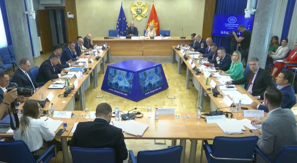 Raičević: Zakon o ANB-u korak naprijed, osnovna prava zaštićena