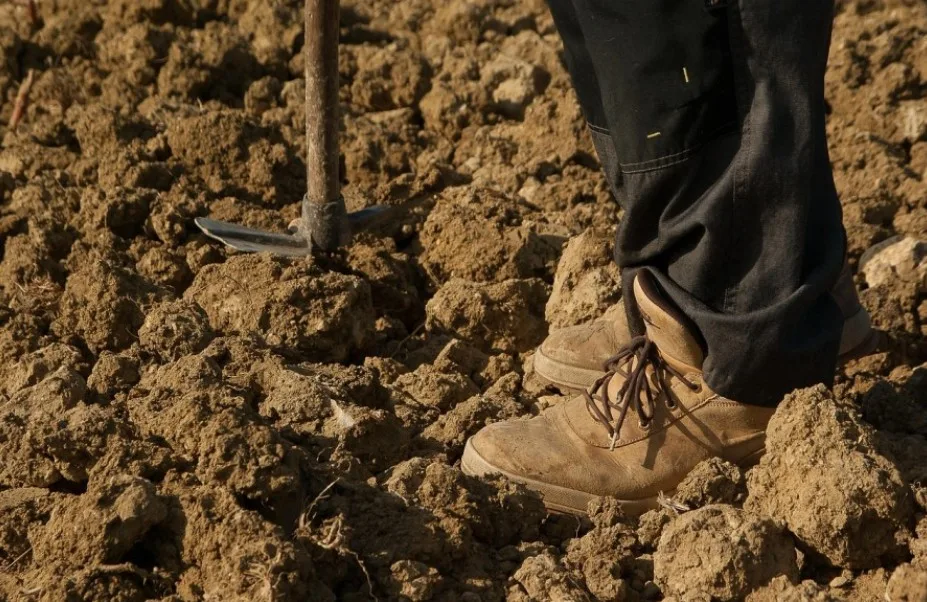 Od 26.000 poljoprivrednika, samo 2.500 planira penziju